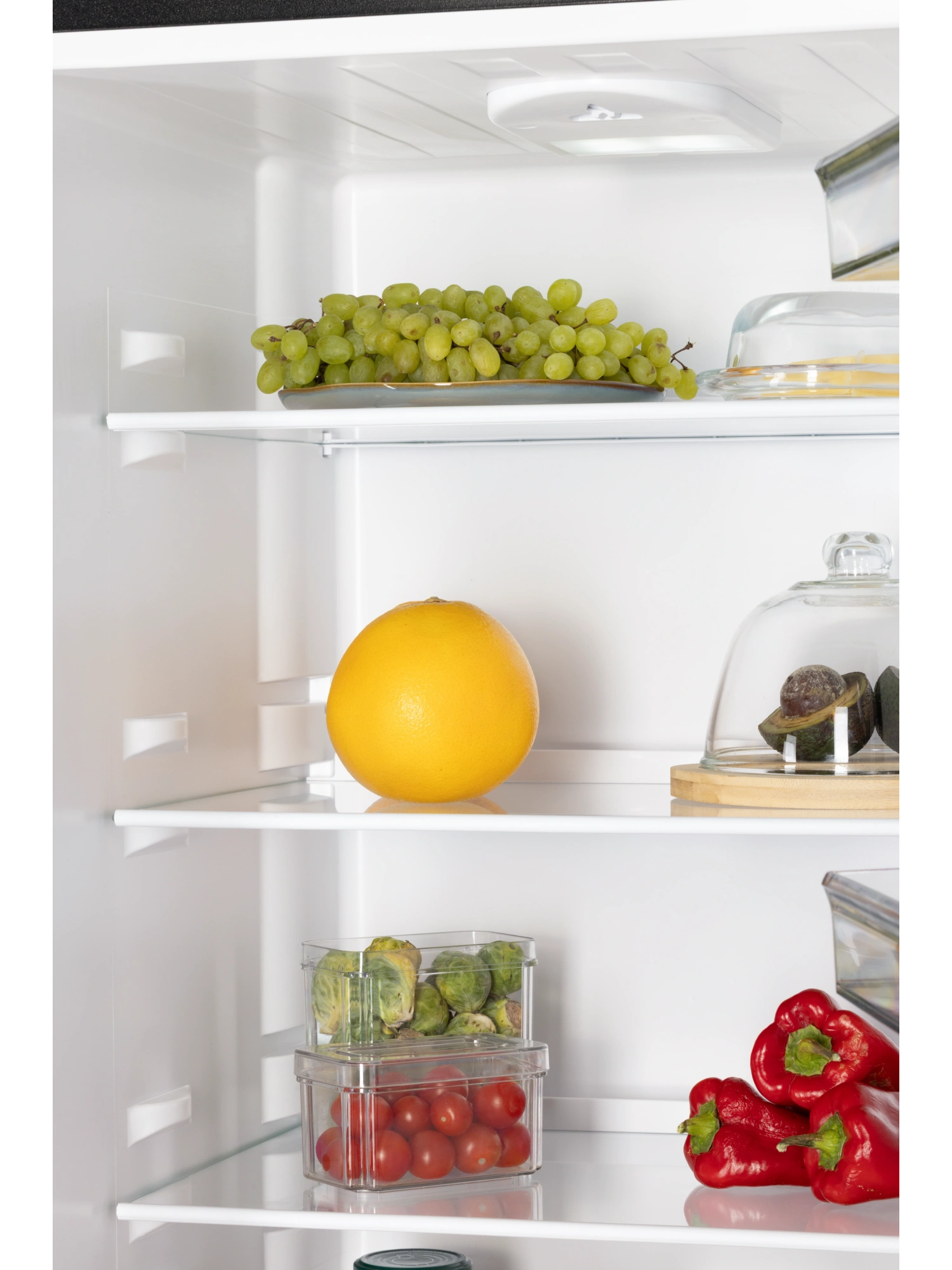 картинка Отдельностоящий холодильник Nord NRG 162NF DTM матовый графит 