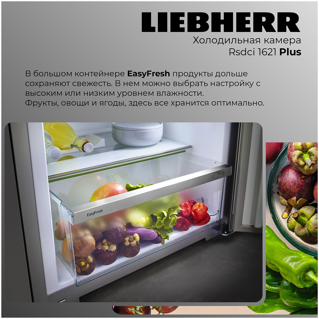 картинка Отдельностоящий холодильник Liebherr Rsdci 1621-20 001 