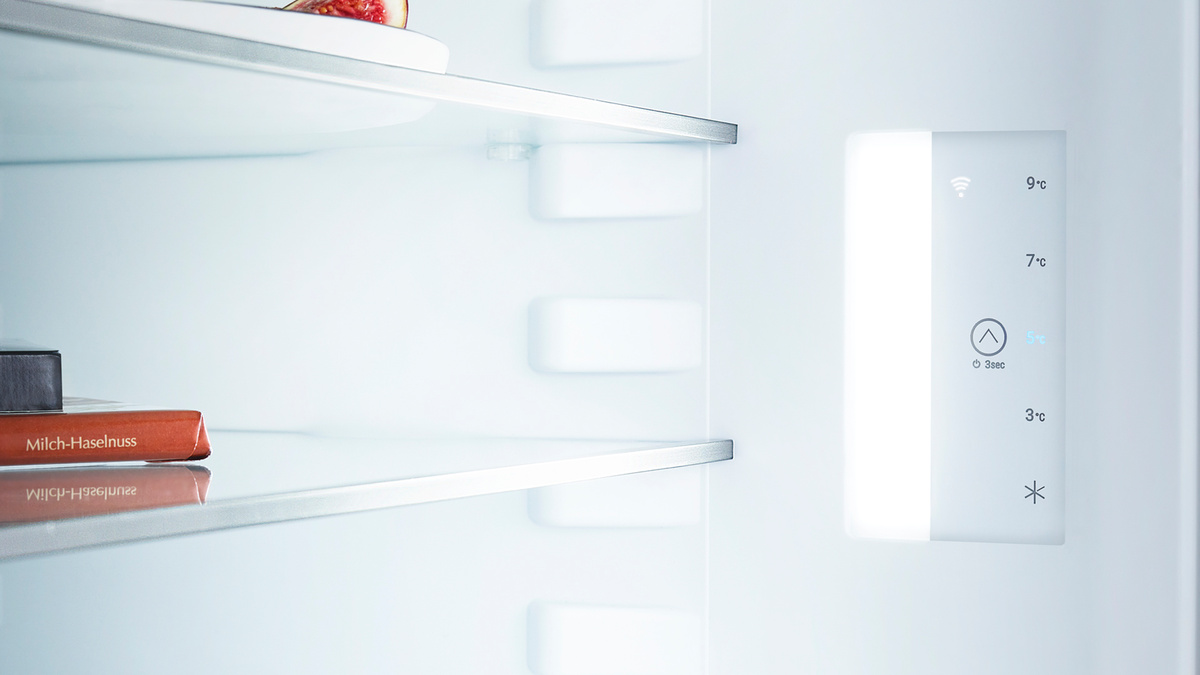 картинка Отдельностоящий холодильник Liebherr Re 1000-20 001 