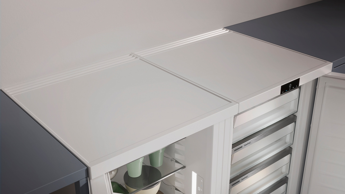 картинка Отдельностоящий холодильник Liebherr Rd 1201-20 001 