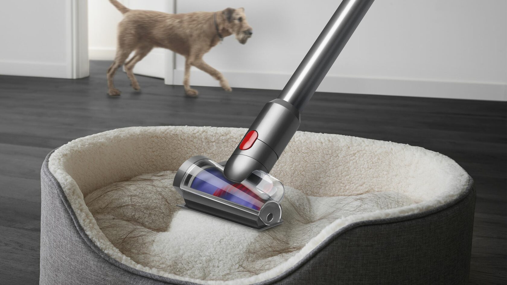 картинка Пылесос Dyson V12 Detect Slim Absolute 448884-01 